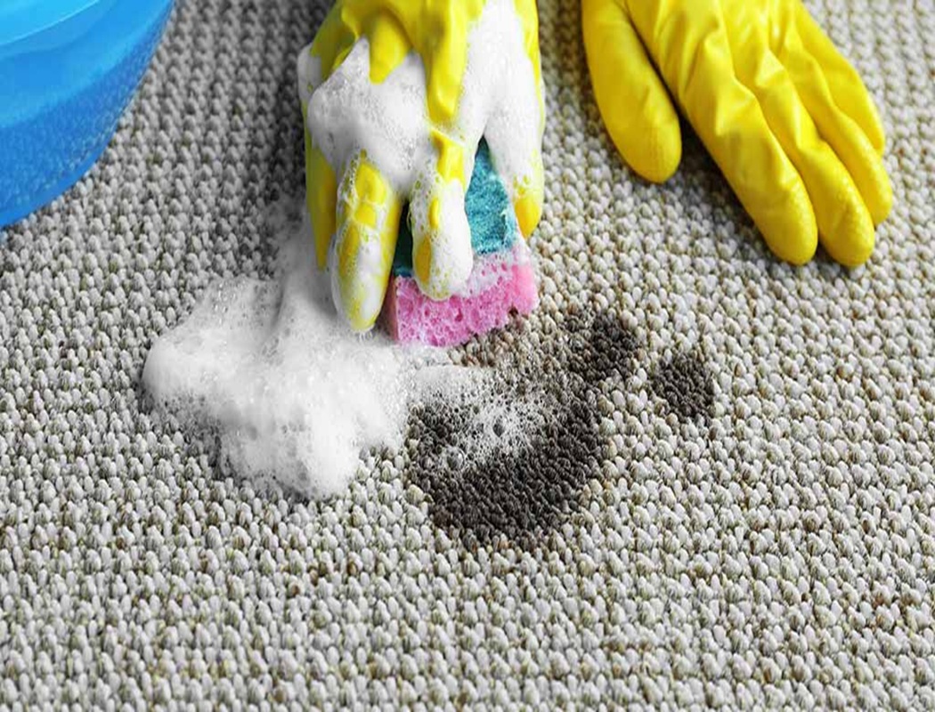 Bond Cleaning Bracken Ridge