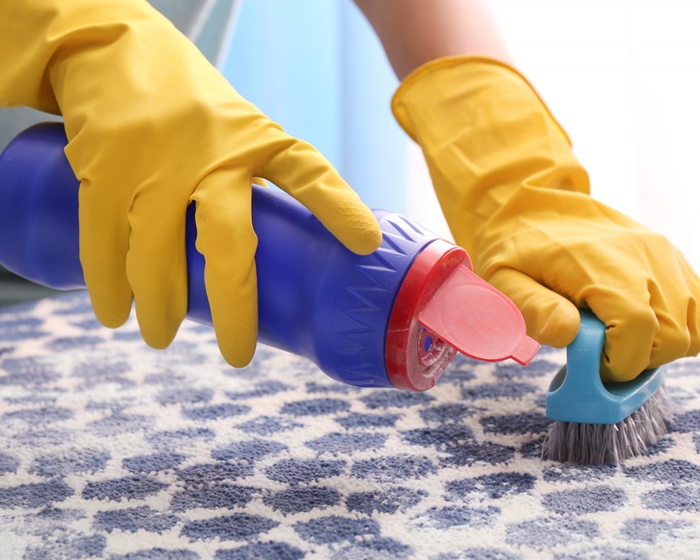 Bond Cleaning Warner